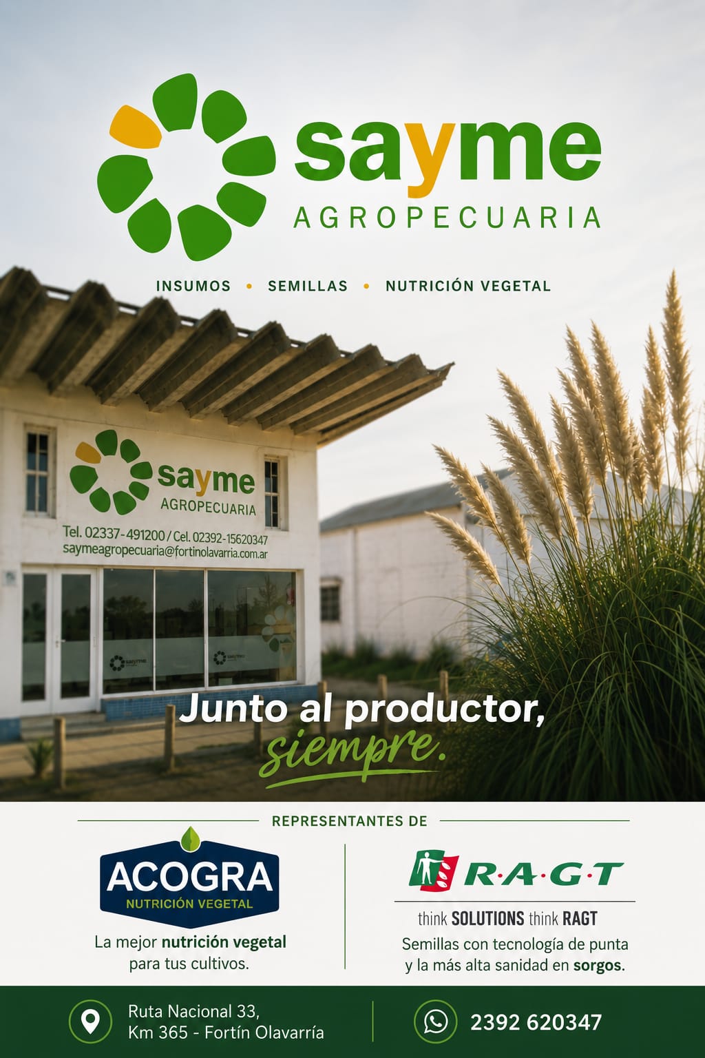 Auspiciante 10