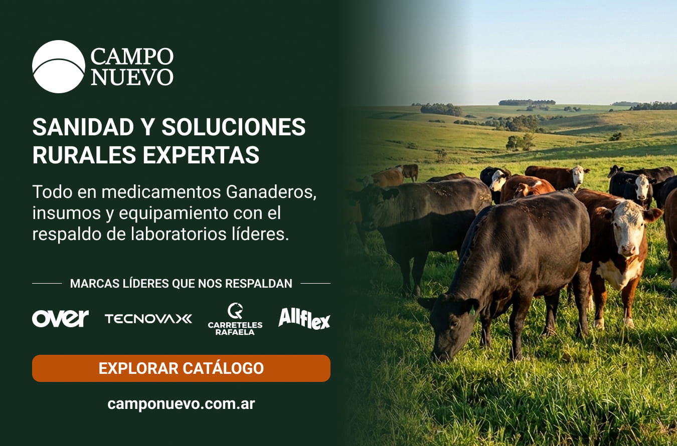 Auspiciante 5