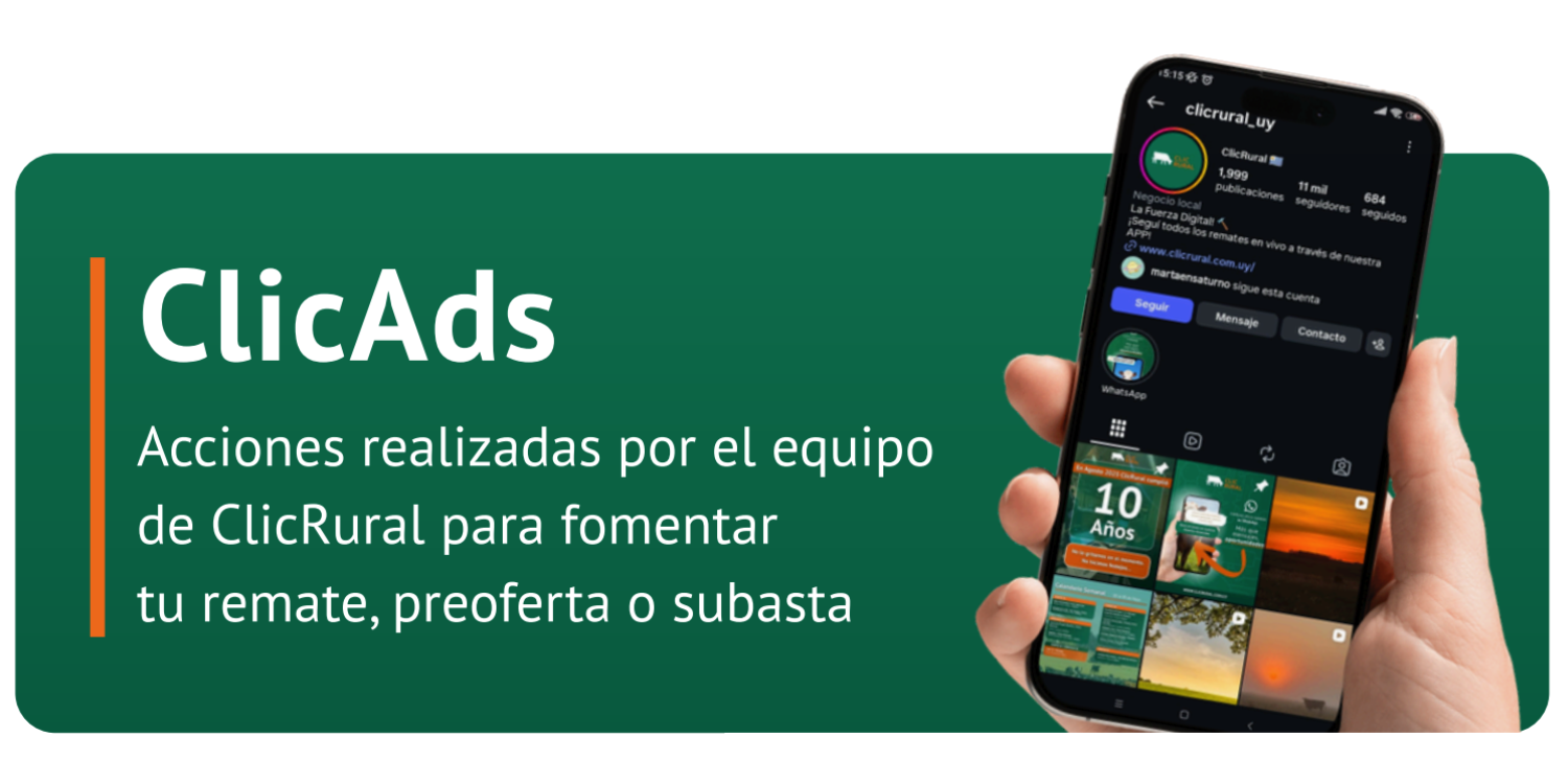 ClicAds