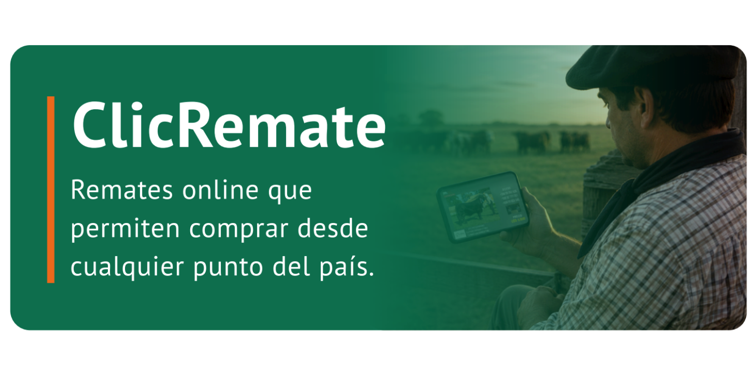 ClicRemate