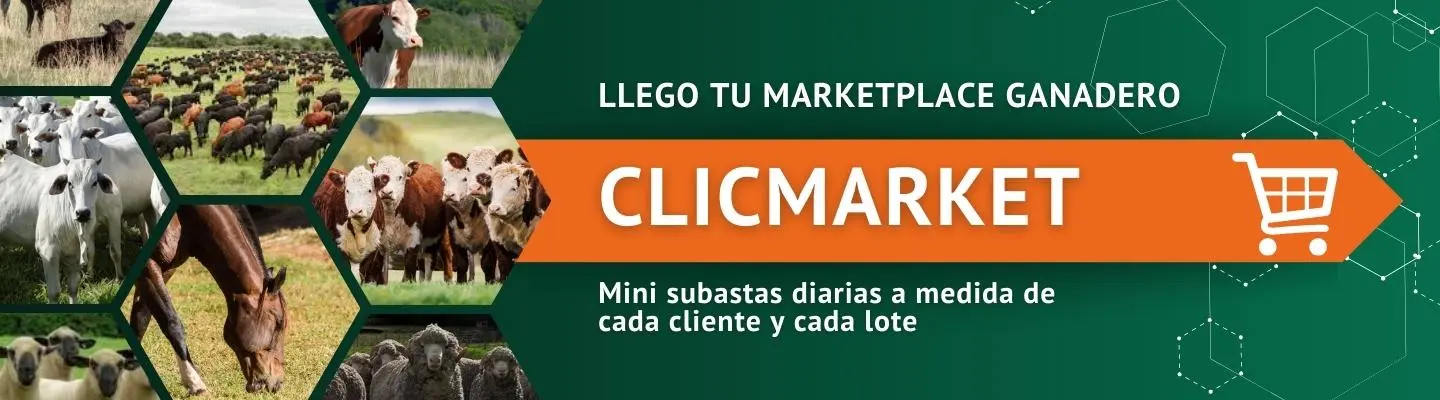 Conocé ClicMarket